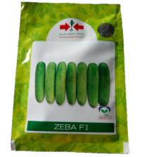 Cucumber Zeba